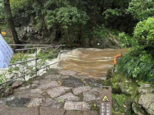 景区重启新篇章 名胜风景区管理的智慧与策略